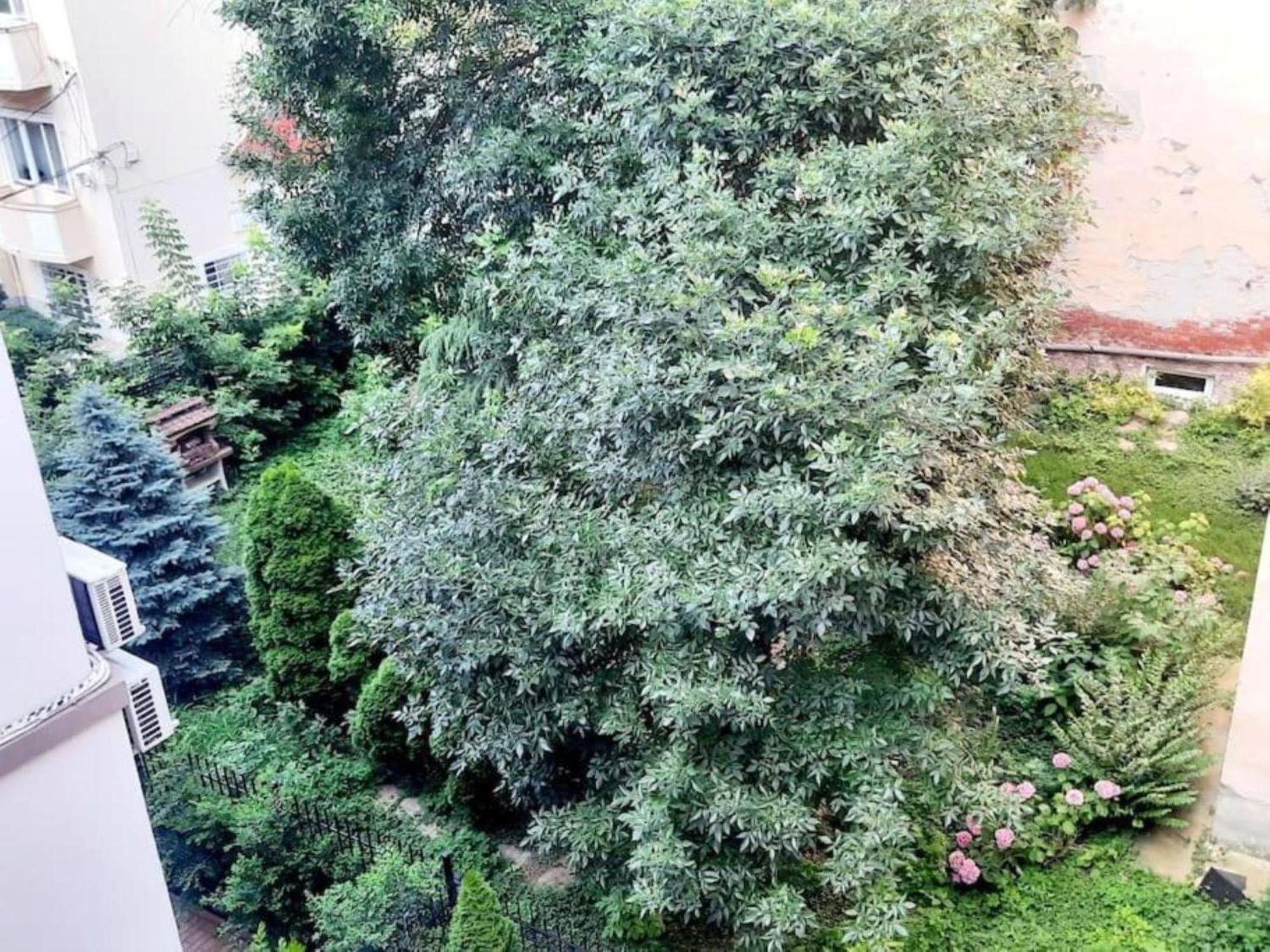 Apartment One Bedroom By The Park Old Town Belle Vue *