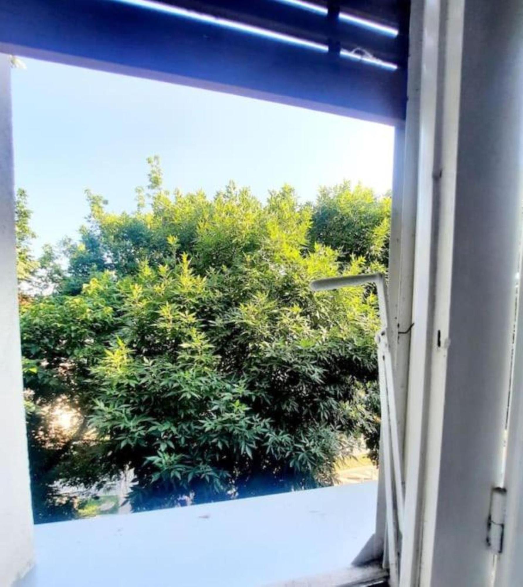 One Bedroom By The Park Old Town Belle Vue * Timişoara